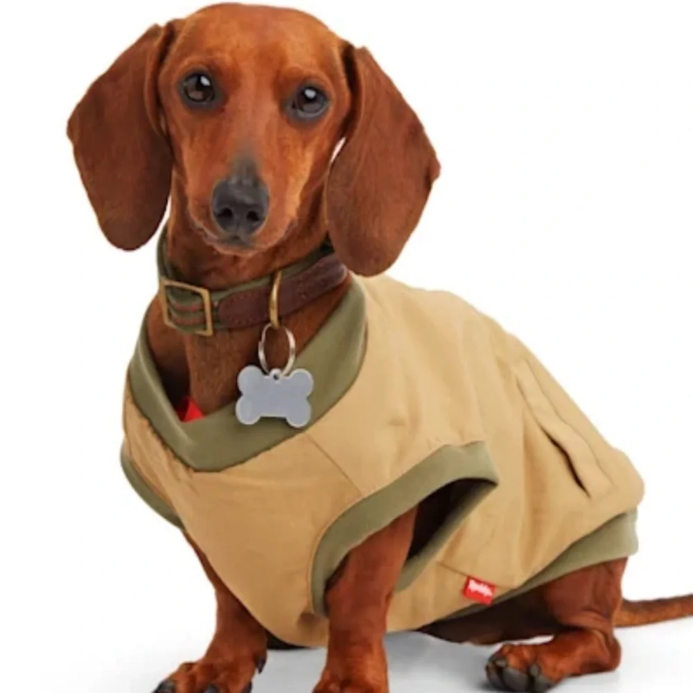 NWT Reddy tan dog bomber jacket XS